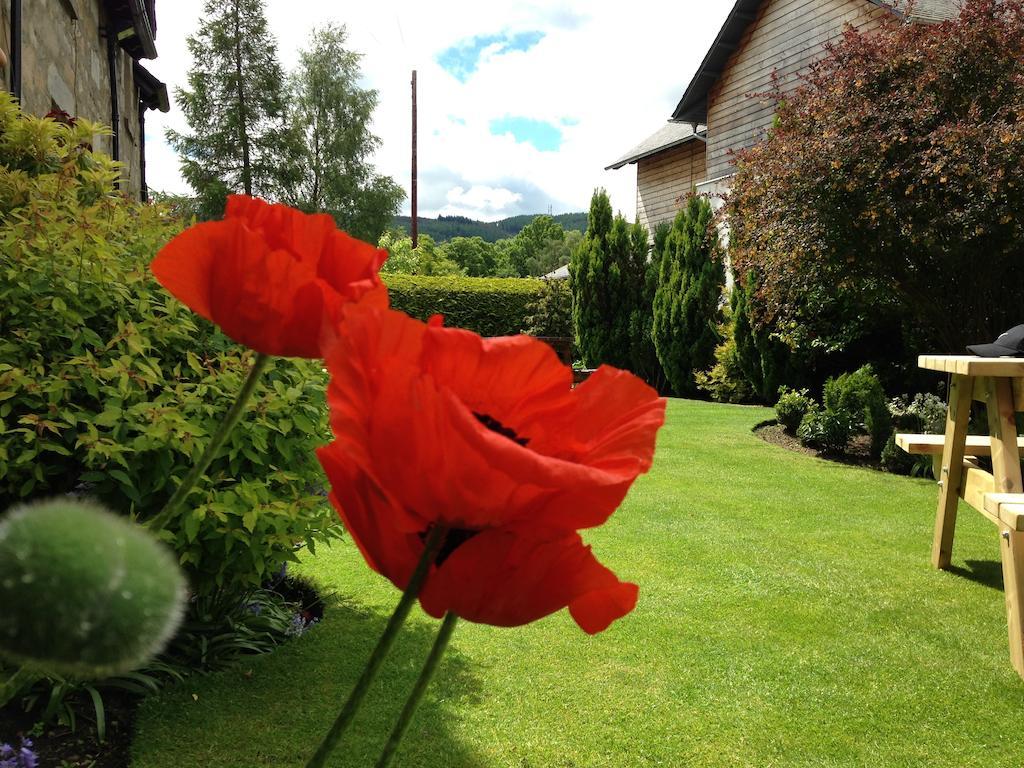 Buttonboss Lodge B&B Pitlochry Ngoại thất bức ảnh